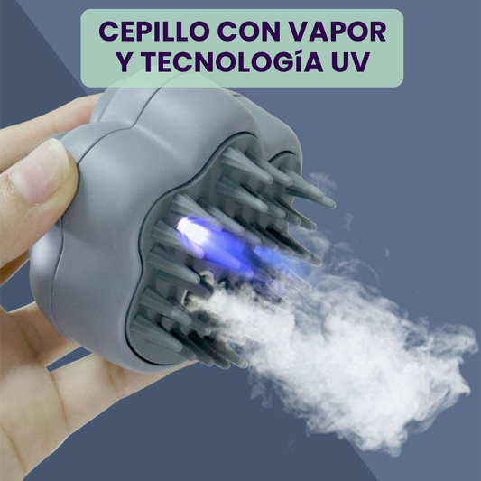 CEPILLO CON VAPOR Y ESTERILIZACION UV