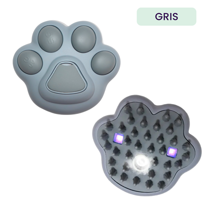 CEPILLO CON VAPOR Y ESTERILIZACION UV