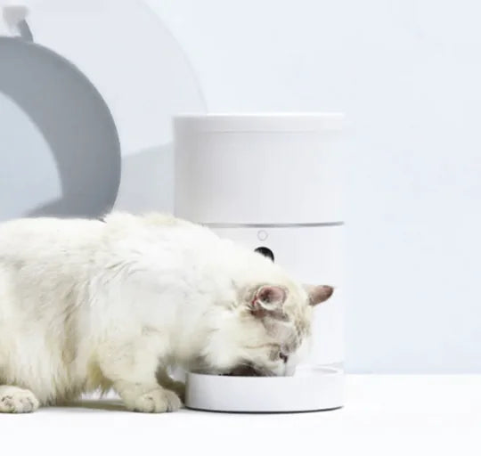 ALIMENTADOR INTELIGENTE CON CAMARA